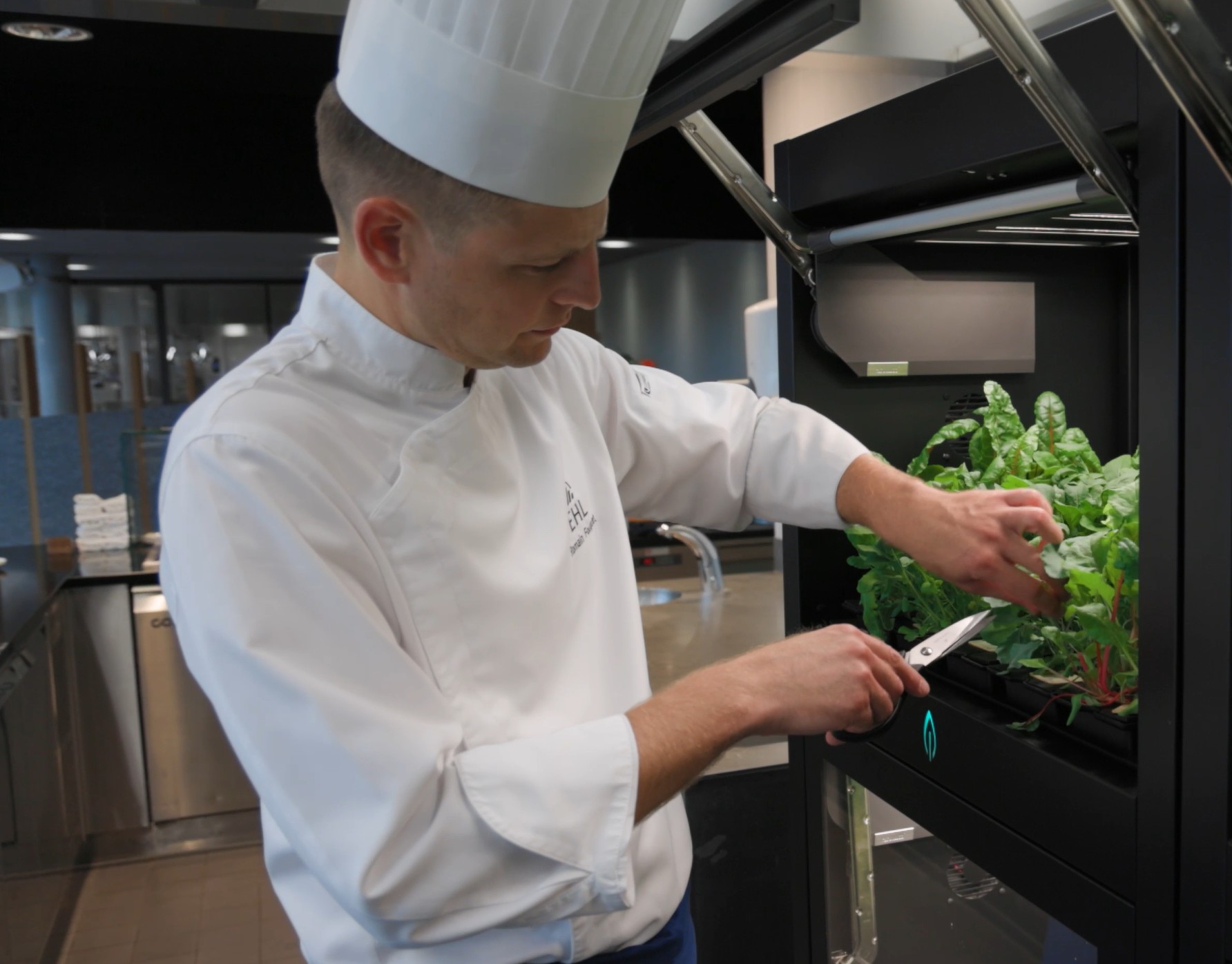 hospitality 1